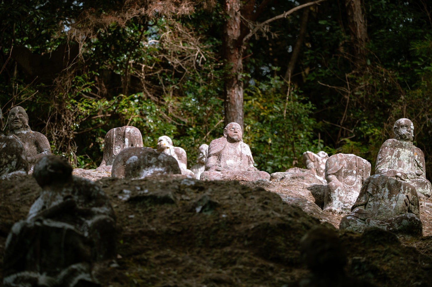 Exploring Medicinal Gastronomy at Abuelo Antonio’s Sanctuary