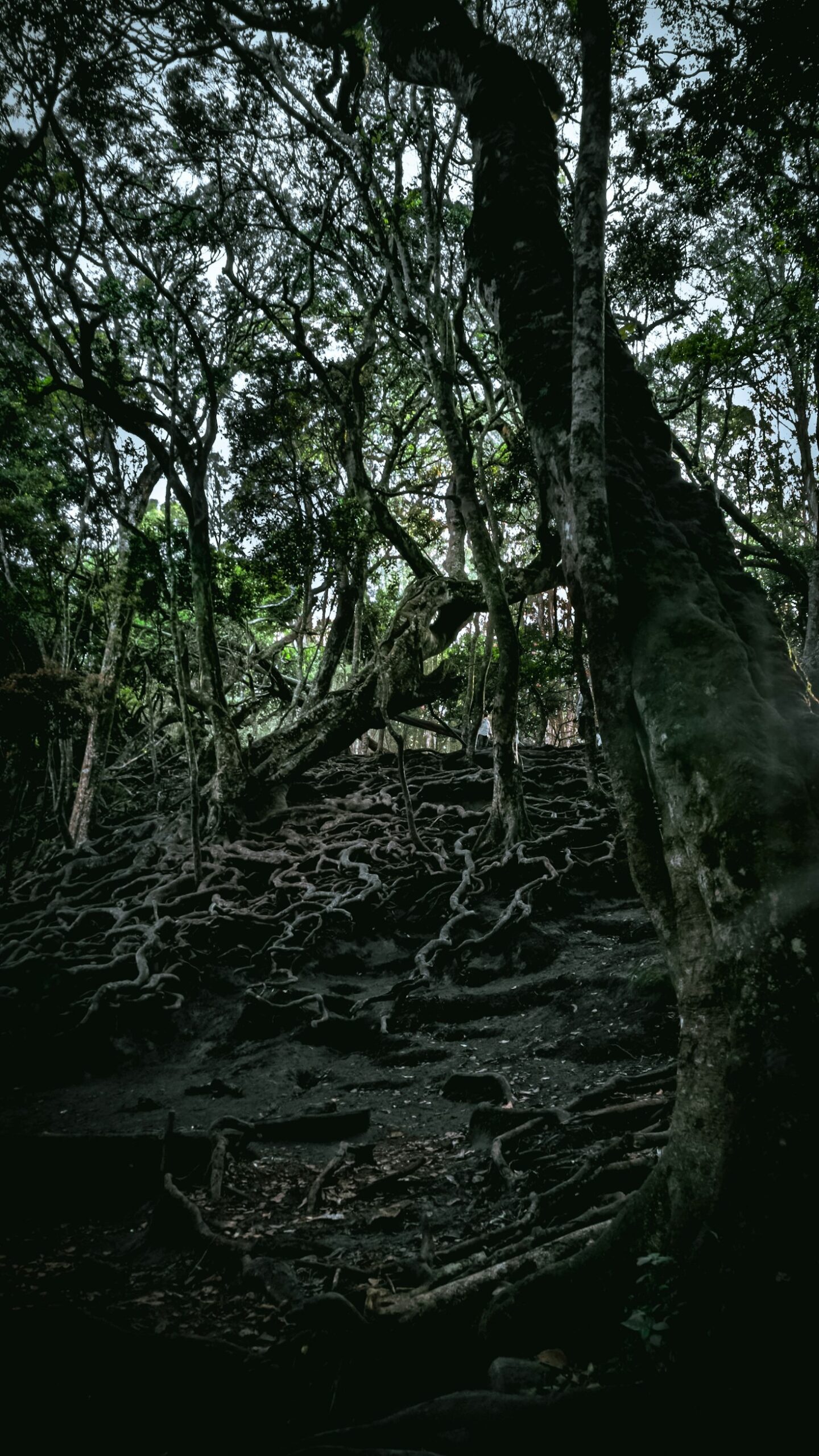 Mayan Ancestral Wisdom: Lessons for Modern Life