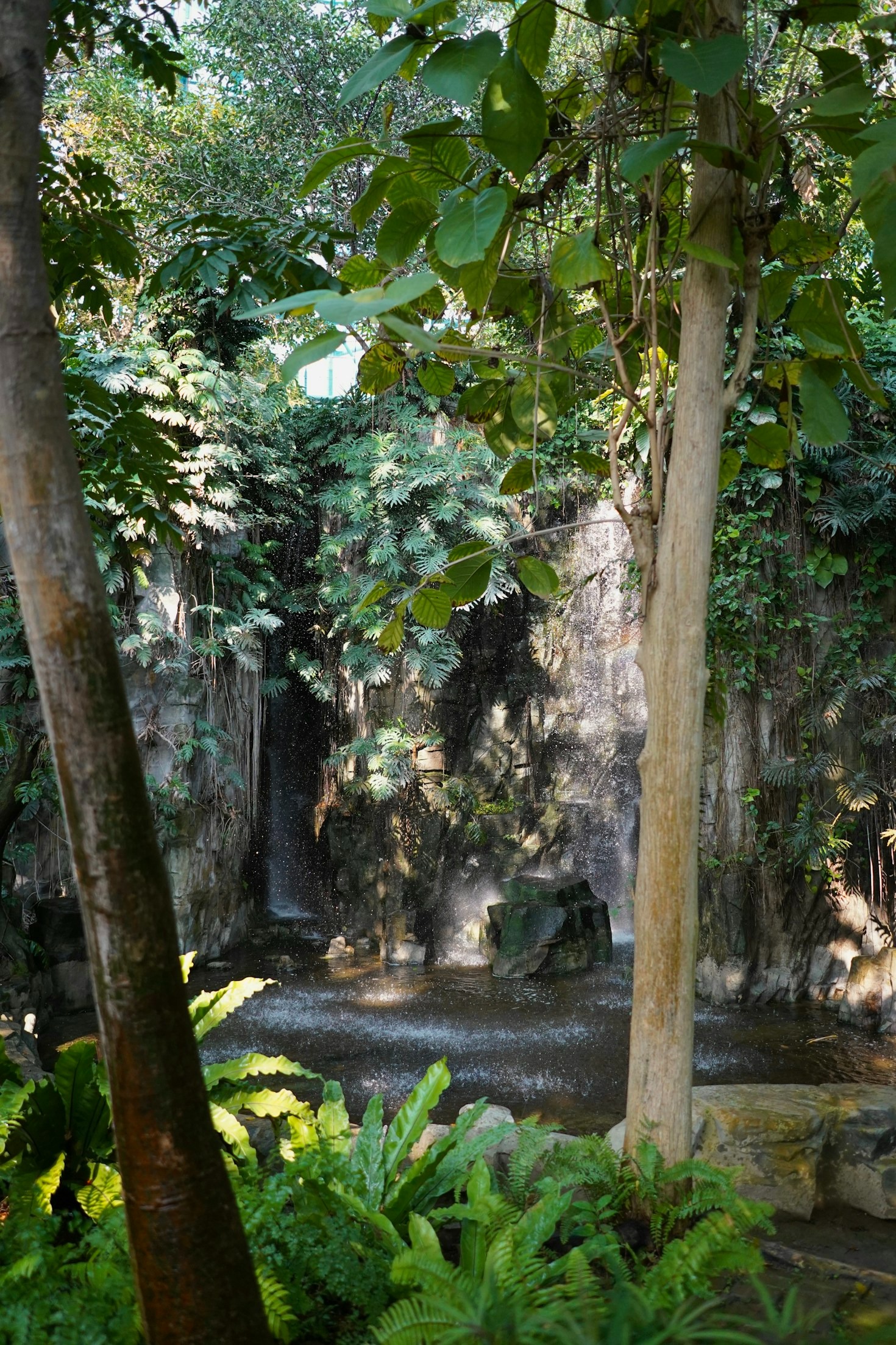 Rediscovering Harmony Through Mayan Wellness Practices